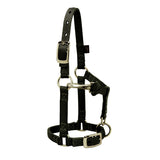 Weaver - Nylon Mini Halter - Assorted Colours