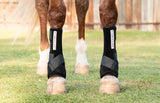 Iconoclast - Rehabilitation Boot