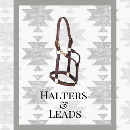 Halters & Leads