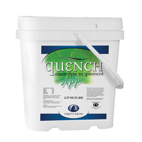 Electrolytes - Power Quench Apple