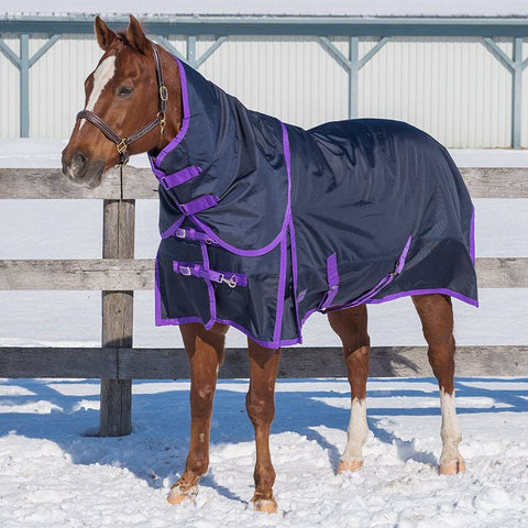 Canadian Horsewear Regal Diablo - Turnout 160gm - Liner Compatible