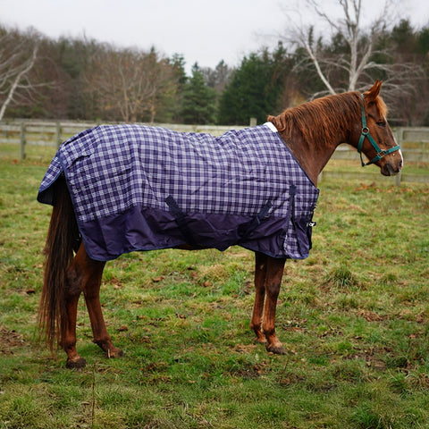 Goliath Regular Neck Pony Winter Blanket - 1200D 300G
