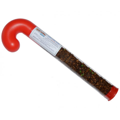 Stud Muffin Slims - Candy Cane Tube - 10oz