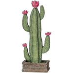 Table Top Cactus