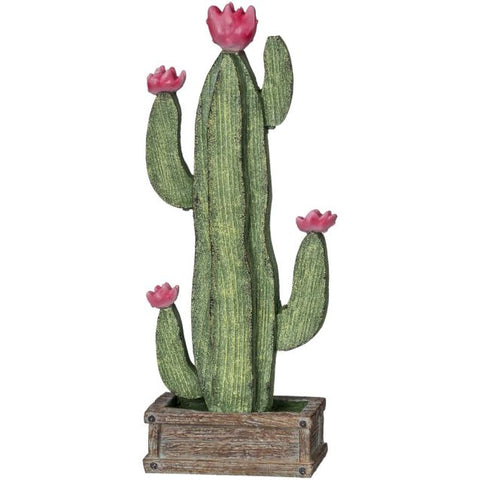 Table Top Cactus