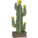 Table Top Cactus