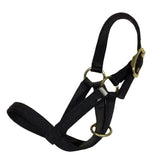 Calf Halter - Assorted Colours