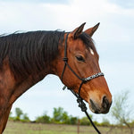 Beaded Nose Rope Halter with 9' Lead