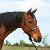 Beaded Nose Rope Halter with 9' Lead