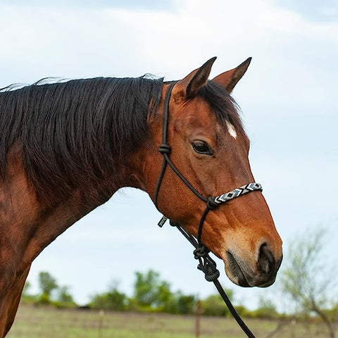 Beaded Nose Rope Halter with 9' Lead