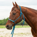 Beaded Nose Rope Halter with 9' Lead