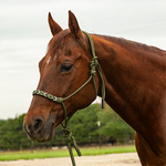 Beaded Nose Rope Halter with 9' Lead