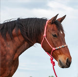 Beaded Nose Rope Halter with 9' Lead
