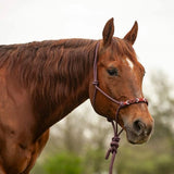 Beaded Nose Rope Halter with 9' Lead