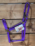 Big D Halter - Medium