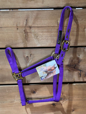 Big D Halter - Medium