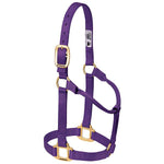 Weaver - 1" Original Non Adjustable Halter - Small - Assorted Colours