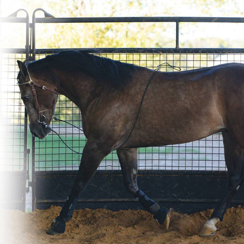 Lunging Buddy