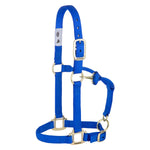 Weaver - 1" Adjustable Halter - Yearling