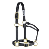 Weaver - 1" Adjustable Halter - Yearling