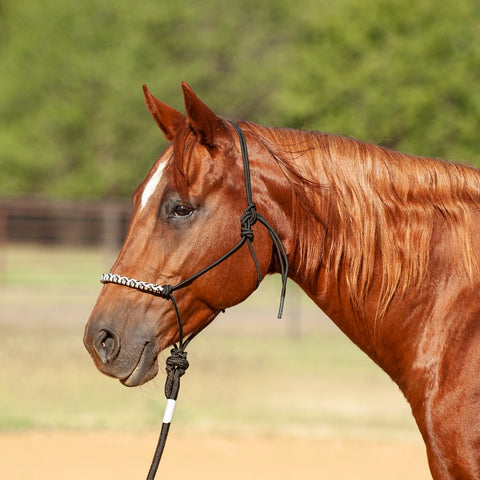 Classic Equine - 3 Tone Rope Halter w/8' Lead