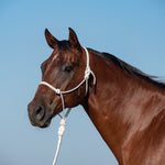 Classic Equine - Rope Halter w/9' Lead - White