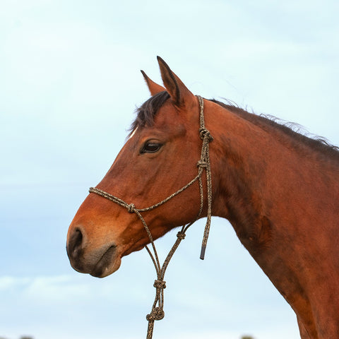 Martin - Premium Rope Halter - Camo