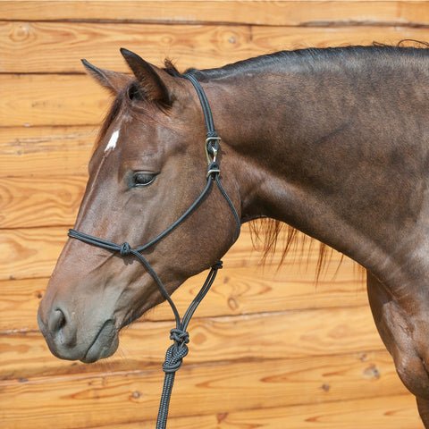 Classic Equine - Adjustable Black Halter w/Lead
