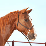 Classic Equine - Halter Rope Nose with Lead