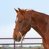 Classic Equine - Halter Rope Nose with Lead