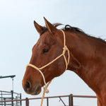 Classic Equine - Halter Rope Nose with Lead