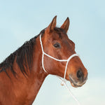 Classic Equine - Halter Rope Nose with Lead