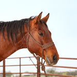 Classic Equine - Wide Nose Braided Rope Halter w/Lead