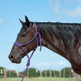 Flat Braid Halter with 9' Lead