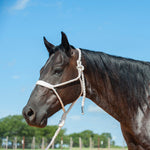 Flat Braid Halter with 9' Lead