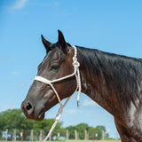 Flat Braid Halter with 9' Lead