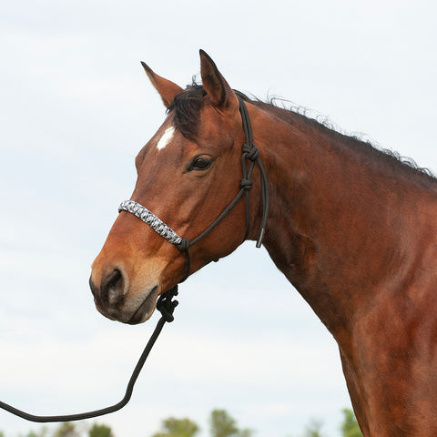 Braided Nose Rope Halter with 8' Lead