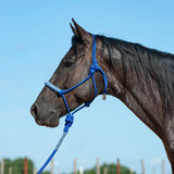Braided Nose Rope Halter with 8' Lead