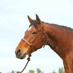Braided Nose Rope Halter with 8' Lead
