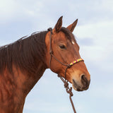 Beaded Nose Rope Halter with 9' Lead