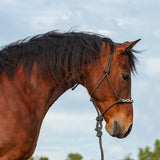 Beaded Nose Rope Halter with 9' Lead