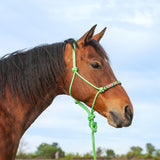Beaded Nose Rope Halter with 9' Lead