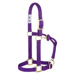 Weaver - 1" Adjustable Halter - Yearling